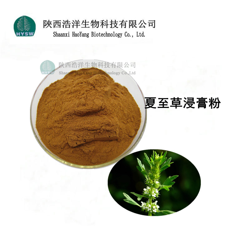 1658995219252899.jpg 夏至草浸膏粉.jpg